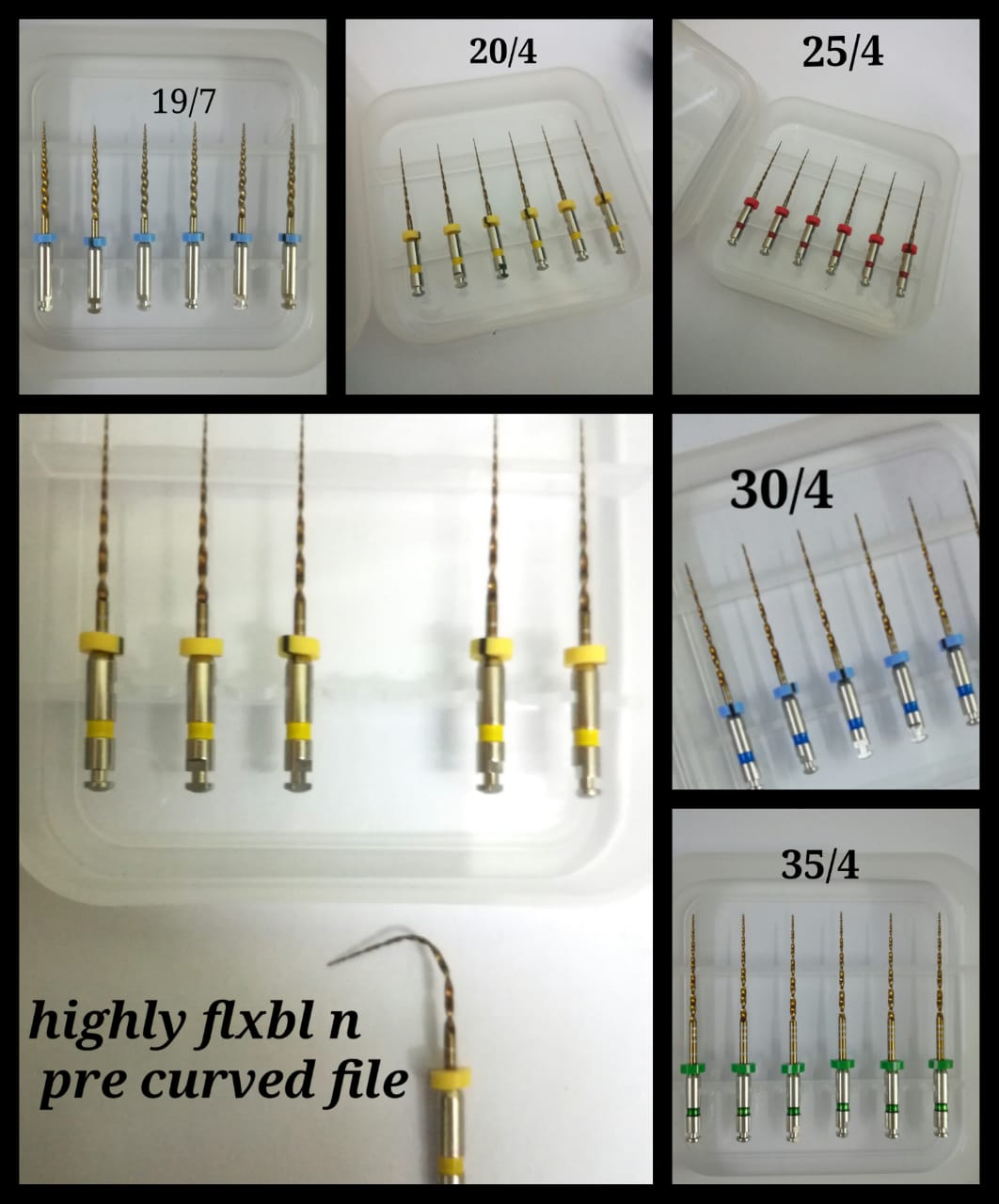 Pro-Flexi Gold Individual 6 File